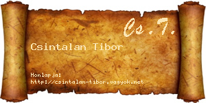 Csintalan Tibor névjegykártya